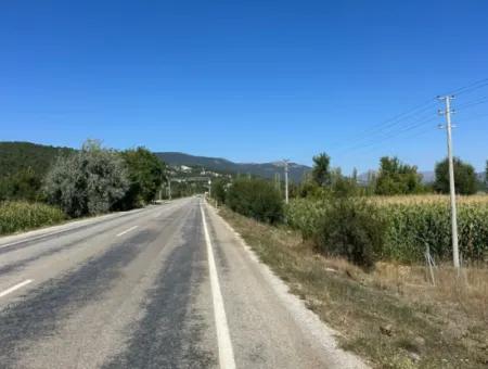 3070 M2 Walnut Orchard For Sale On The Side Of The Main Road In Denizli Çameli