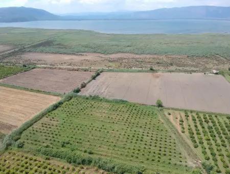 Tepearasi Oriya Bargain Between 13 700 M2 Land For Sale