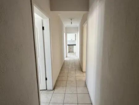 3 1 Flat For Rent In Ortaca Bazaar Center