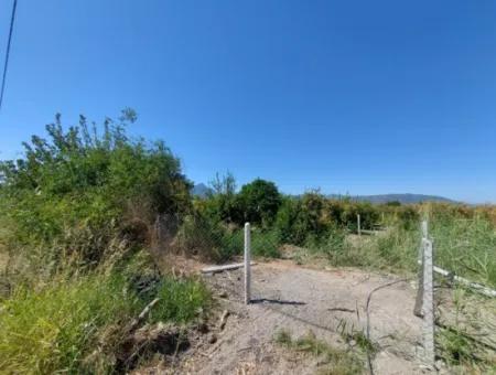 8126 M2 Investment And Pomegranate Orchard Suitable For Zirayi Loan Is For Sale In Ortaca Tepe