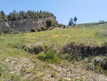 Çameli Kolakta Bargain 20 000 M2 Detached Title Deed Land Is For Sale Or Exchange.