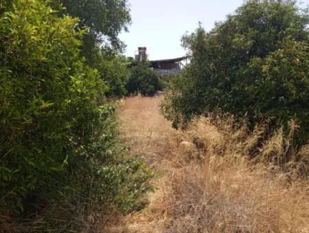 Central Location 430 M2 Plot For Sale In Ortaca Çaylı