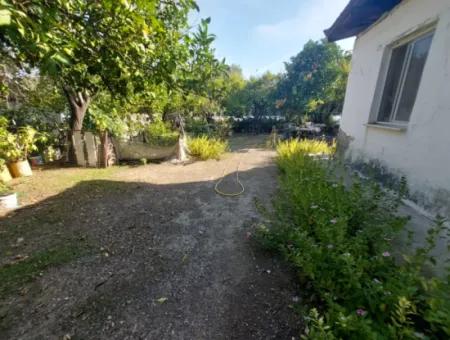Köyceğiz Çandır Dalyan Canal Zero 865 M2 House And Restaurant For Sale