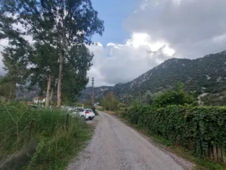 5.000 M2 Land With 150 M2 Construction Right Is For Sale In Muğla Dalyan