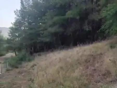 Muğla Ula Çiçek Main Road In Greenery 2.500 2 Detached Land With Title Deed For Sale.