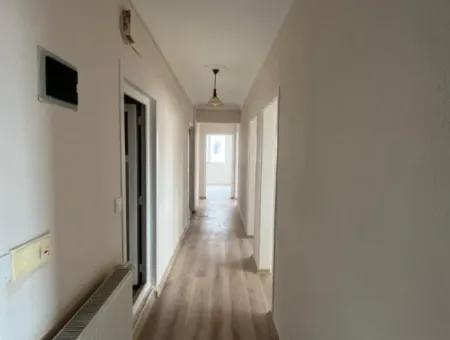 3 1 Flats For Rent In Ortaca Center