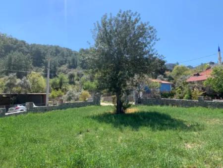 Dalyan Gökbelde 678 M2 Share For Sale