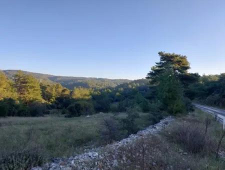 Muğla Ula Kızılyaka 790M2 Treasury Land Possession Right Will Be Transferred Or Vehicle Will Be Exchanged