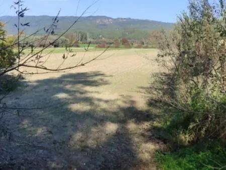 Bargain 6 000 M2 Land For Sale In Muğla Ula Karabörtlende