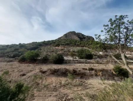 15 200 M2 Detached Land For Sale In Muğla Datça Yazi