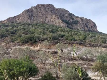 15 200 M2 Detached Land For Sale In Muğla Datça Yazi