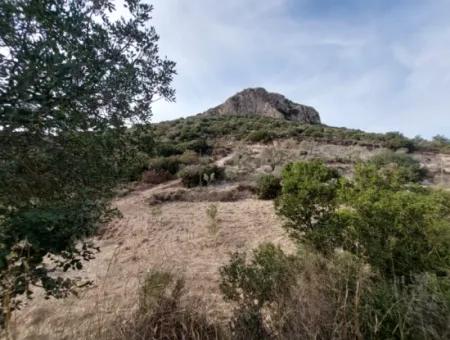 15 200 M2 Detached Land For Sale In Muğla Datça Yazi