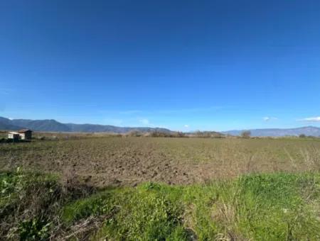 Field For Sale Close To Dalyan, Close To Köyceğiz Lake