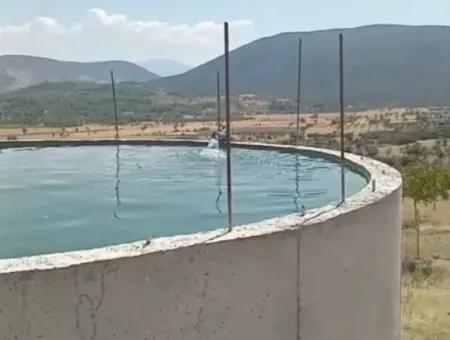 37.000 M2 Walnut Orchard In Denizli Tavas Ulukent For Sale