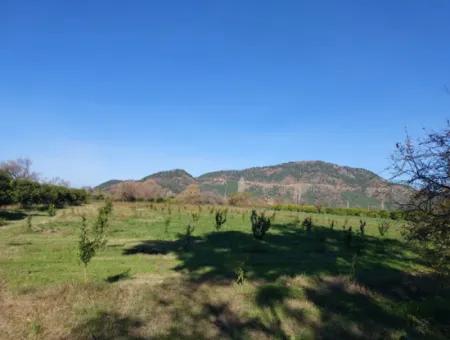 In Ortaca Okçular, A 1000 M2 Detached Land Is For Sale With 250 M2 Construction Rights Or Exchanged For 2-3 Flats From Ortaca
