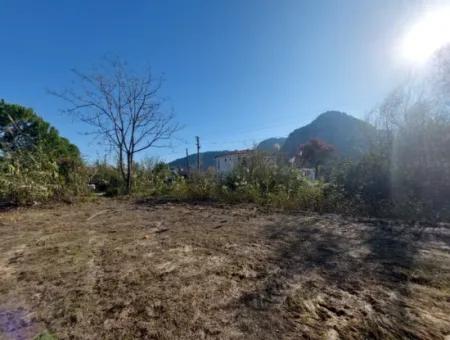 Bargain Suitable For Investment In Muğla Dalyan 4 000 M2 Land By The Forest Is For Sale