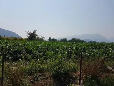 3000 M2 Land Suitable For Investment For Sale In Mugla Ortaca Archers