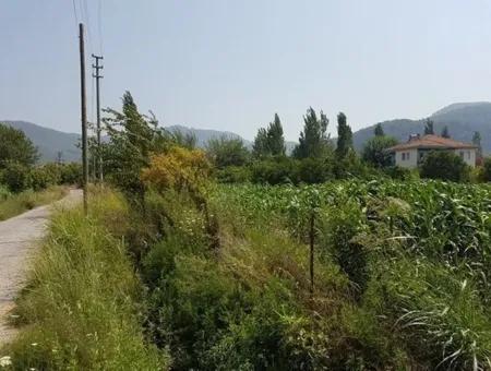 3000 M2 Land Suitable For Investment For Sale In Mugla Ortaca Archers