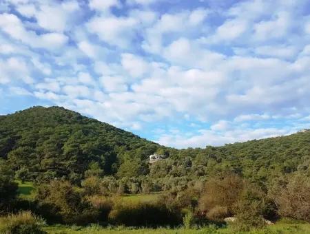 620 M2 Land For Sale In Sarigerme