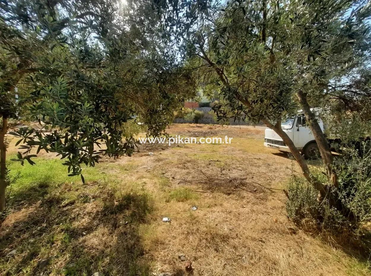 Ortaca Çaylıda Satılık Kelepir Arsa