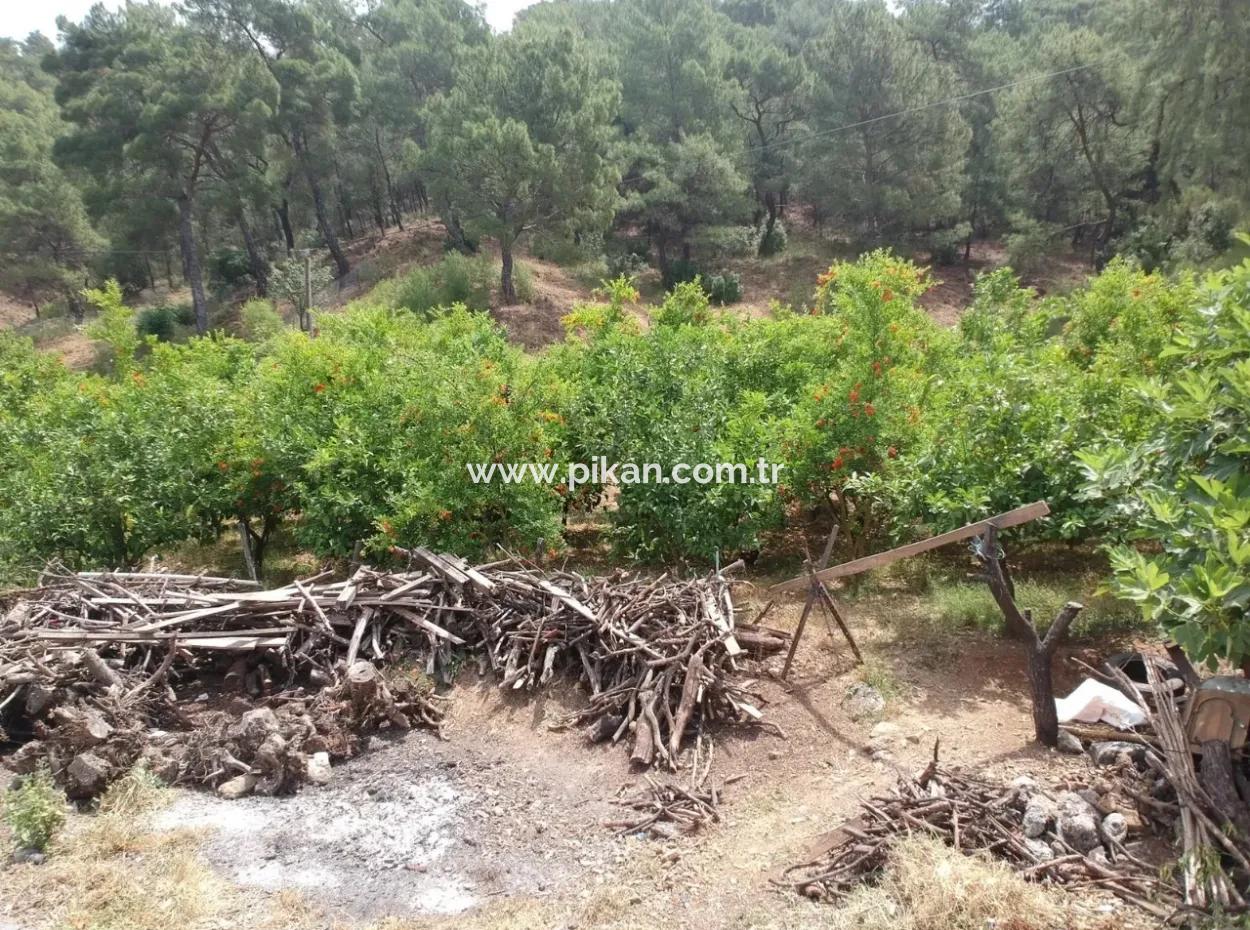 Ortaca Tepearasında Satılık Göl Manzaralı Arazi
