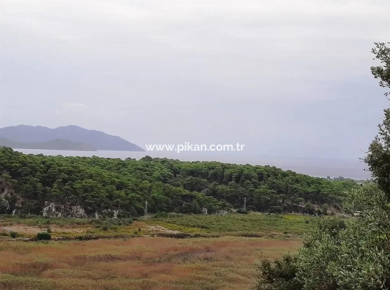 Muğla Sarıgermede Satılık Deniz Manzaralı Arsalar