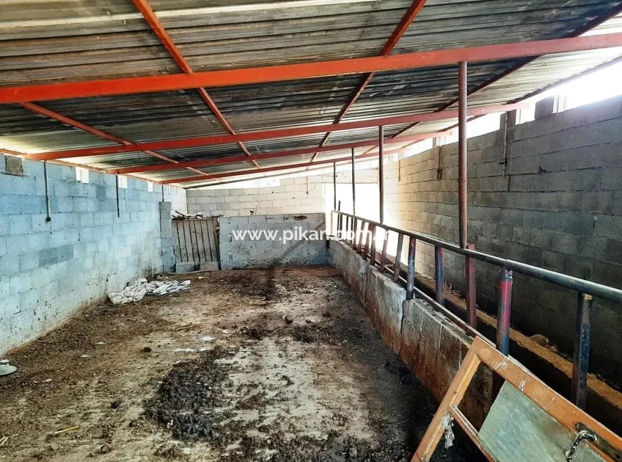 Denizli Çameli Cevizlide Satılık 2 700 M2 Arazi Ve Köy Evi