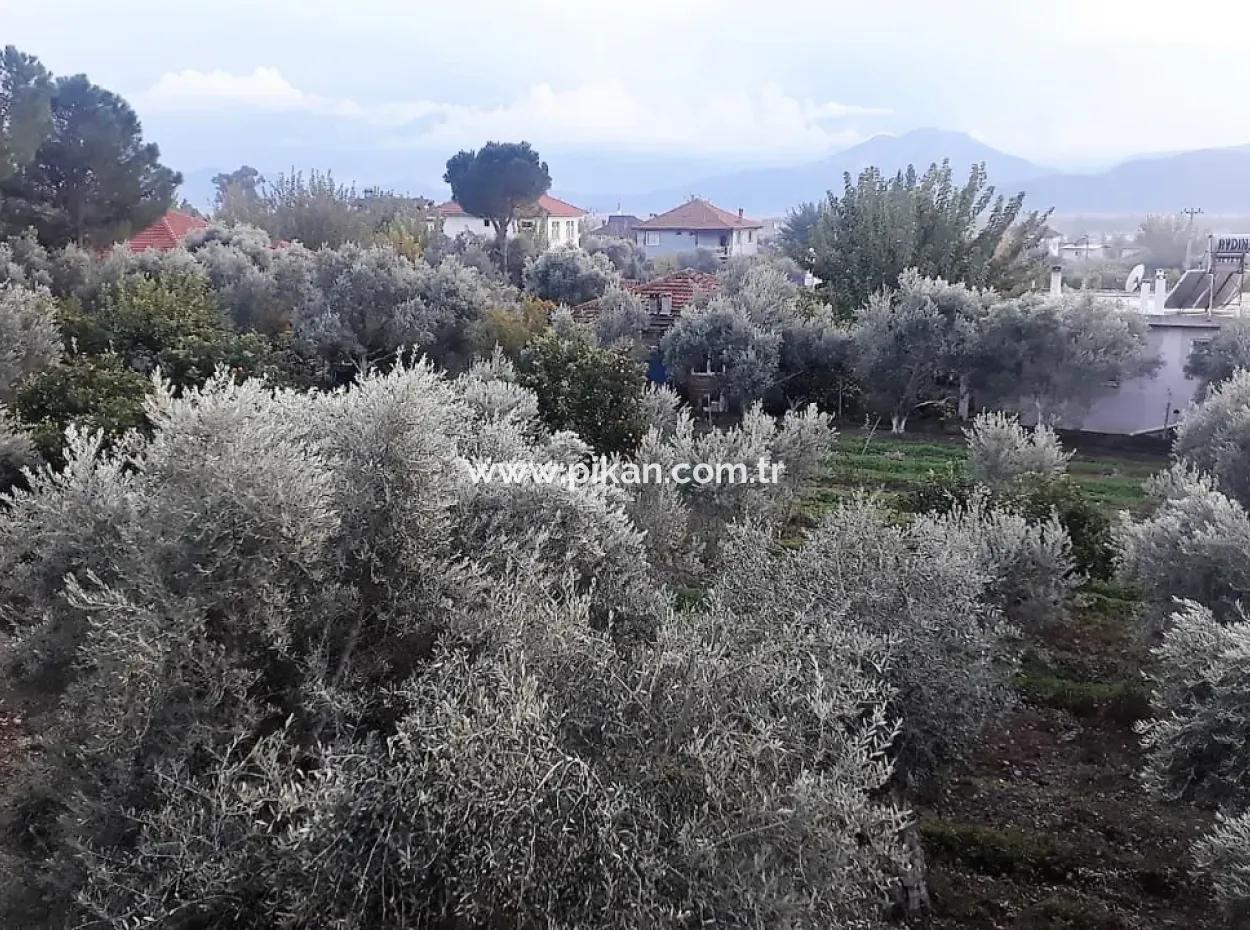 Köyceğiz Toparlarda Satılık Göl Manzaralı İmarlı Arsalar