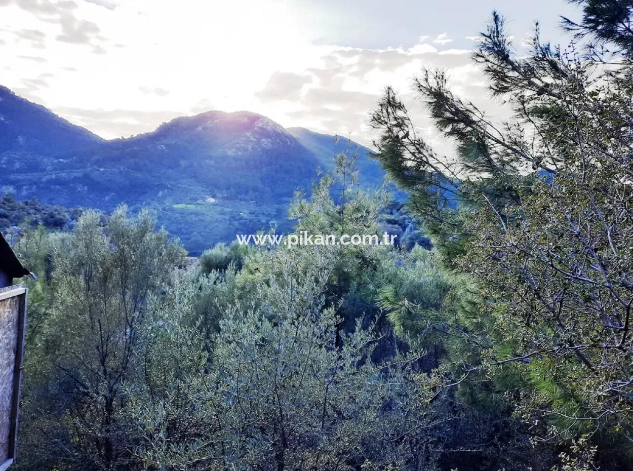 Muğla Dalyan Gökbelde 1700 M2 Doğa Manzaralı Müstakil Arazi Ve Bungalov