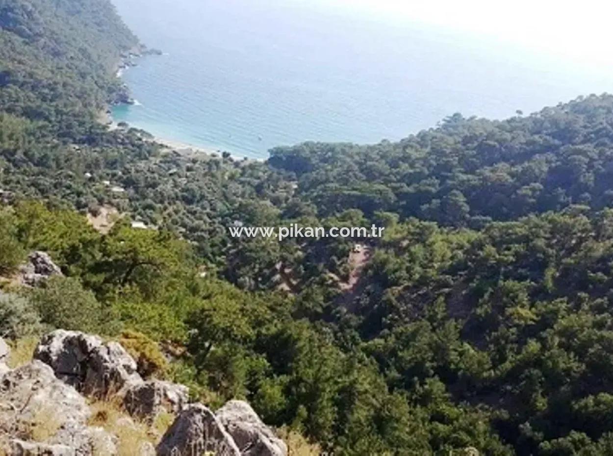 Fethiye Faralya Da Satılık Deniz Manzaralı Arsa, 6750 M2