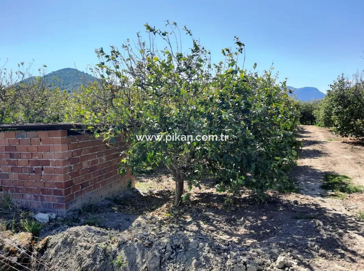 Muğla Ortaca Fevziyede Satılık 530 M2 İmarlı Arsa