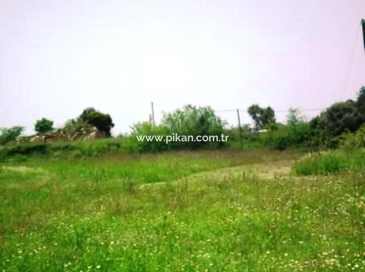 Ortaca Fevziye De Satılık Kelepir Arazi, Yatırıma Uygun, 1500 M2