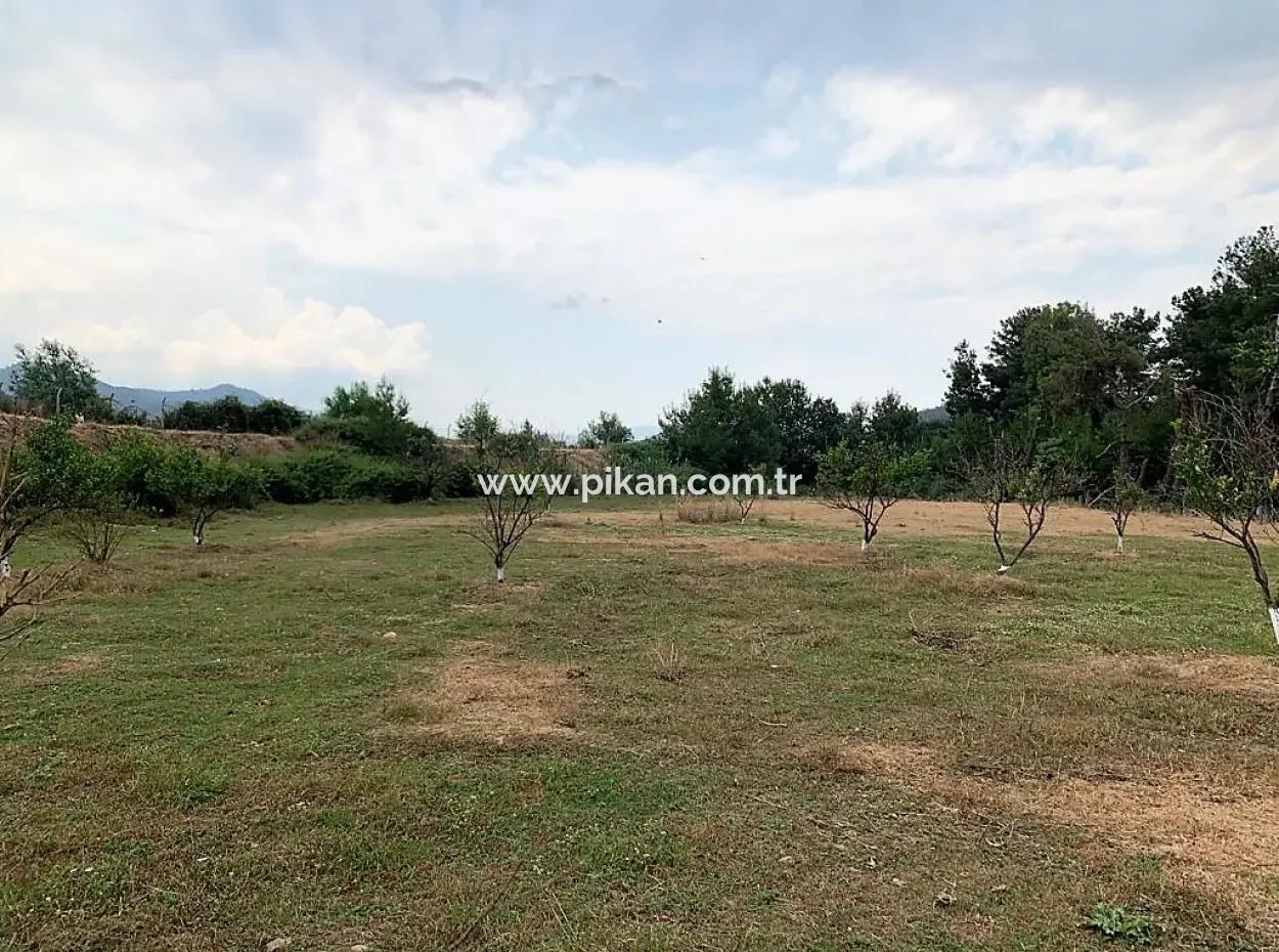 Ortaca Çaylıda Çam Ormanı İçinde Çay Kenarı 10345 M2 Arazi Ve Müstakil Ev Satılık