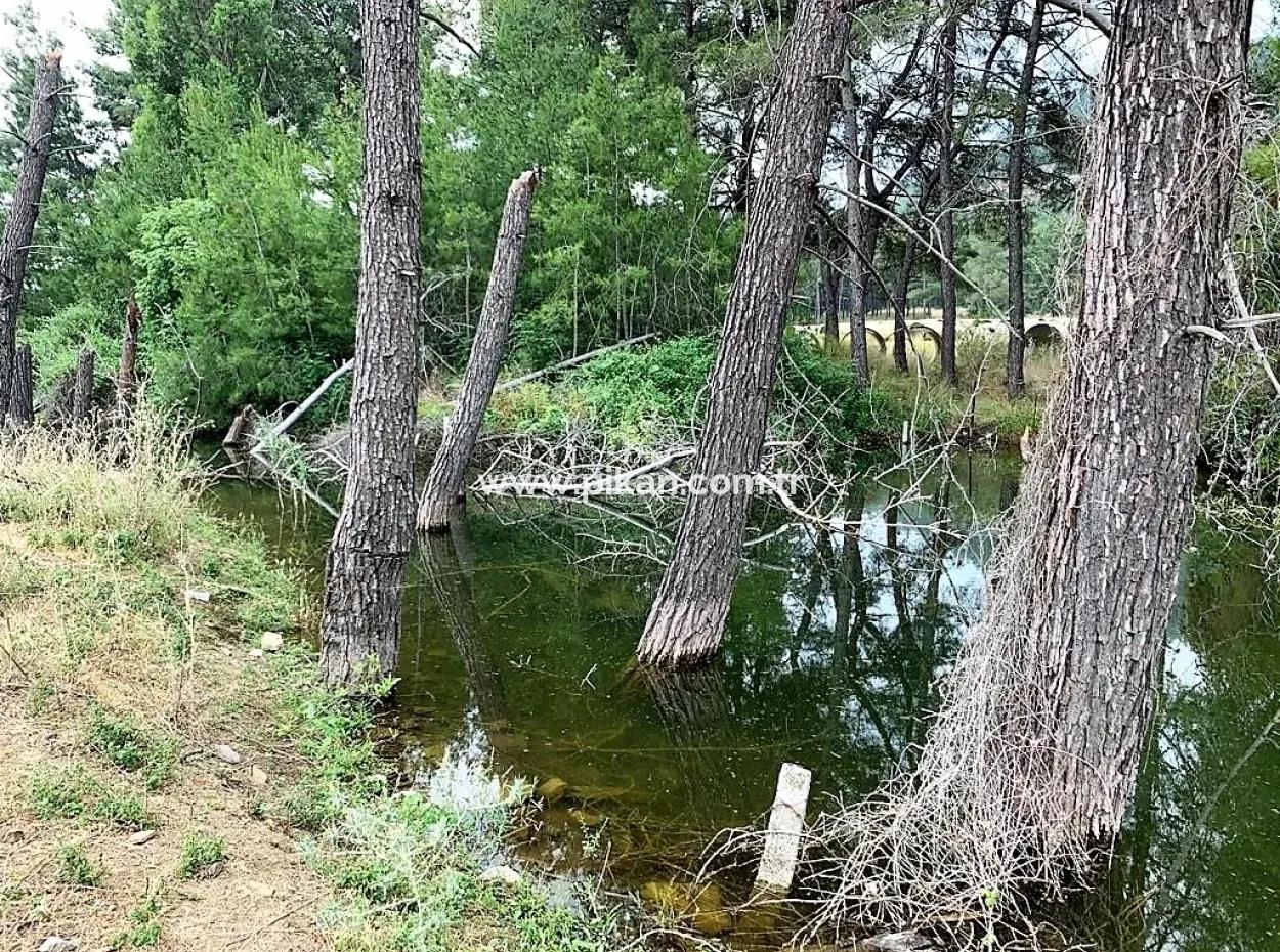 Ortaca Çaylıda Çam Ormanı İçinde Çay Kenarı 10345 M2 Arazi Ve Müstakil Ev Satılık