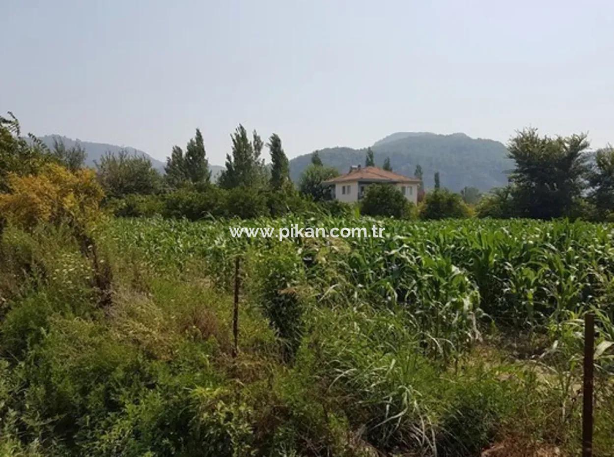 Muğla Ortaca Okçularda Satılık Müstakil 15000 M2 Verimli Arazi