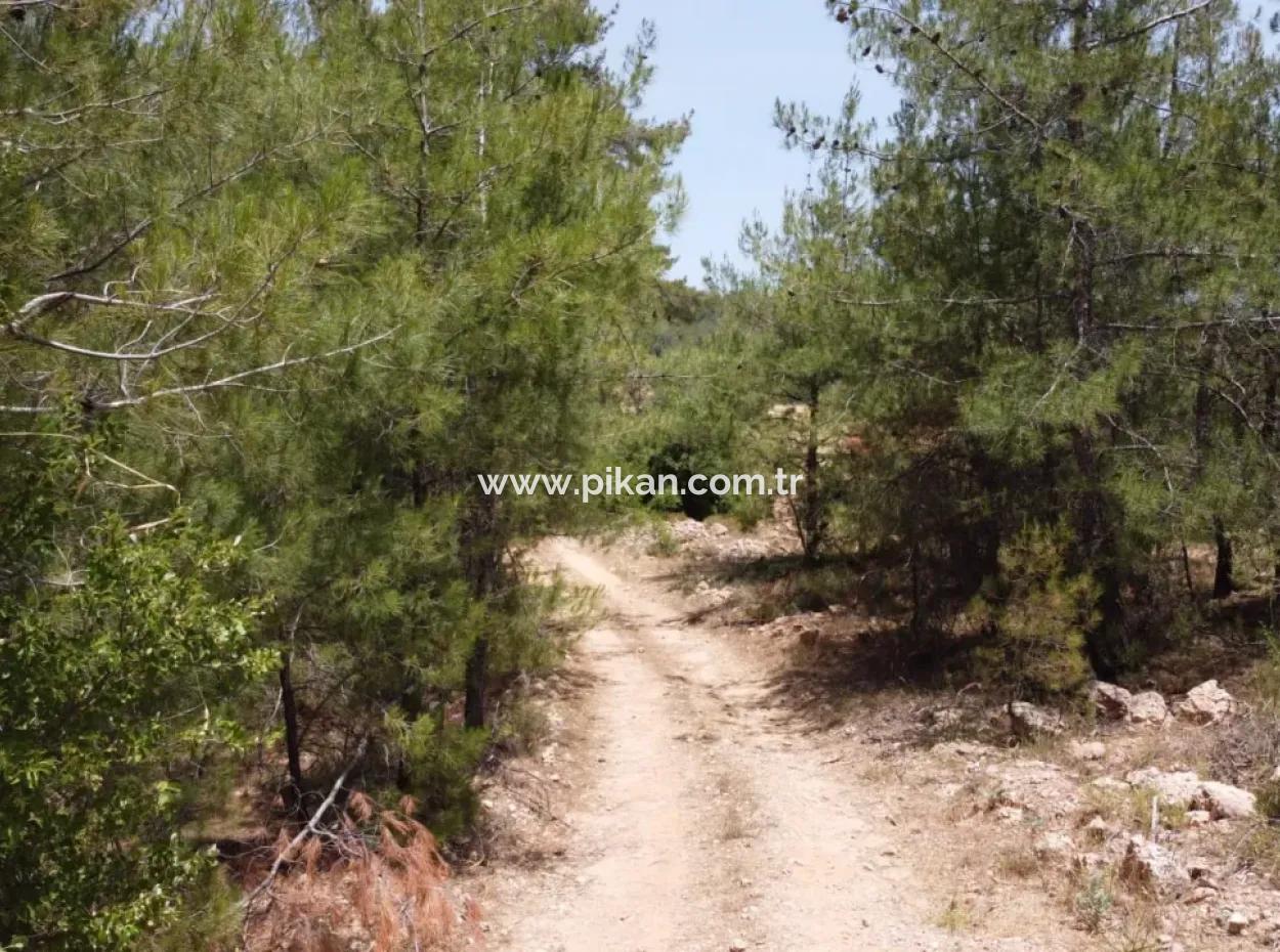Muğla Menteşe Denizovada Satılık 3031 M2 Müstakil Tarla