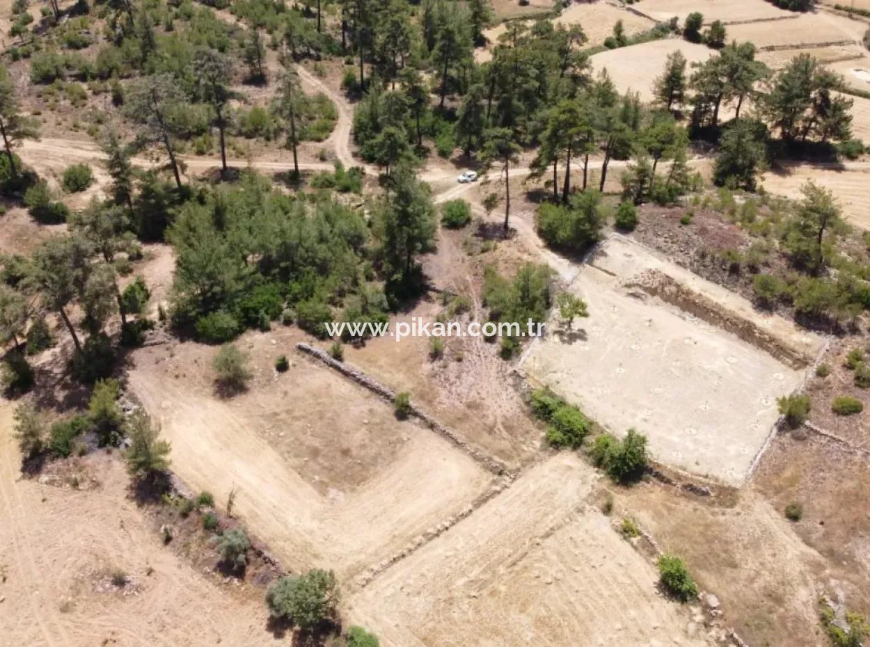 Muğla Menteşe Denizovada Satılık 3031 M2 Müstakil Tarla