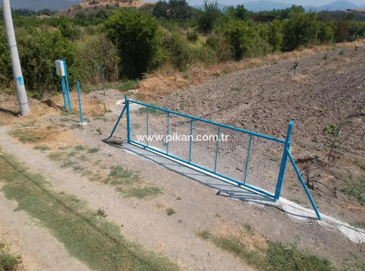 Muğla Ortaca Tepearasında 7300 M2 Limon Tarlası Satılık