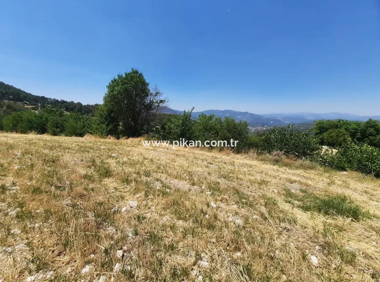 Denizli Çameli Gökçeyakada 2762 M2 Müstakil Arazi Satılık