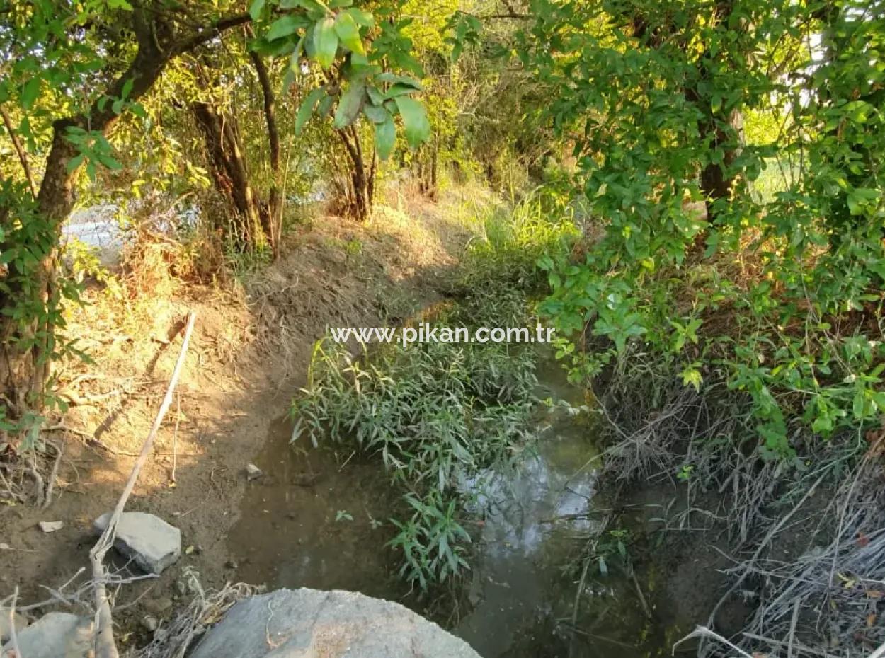 Muğla Ortaca Tepearasında Satılık Nar Bahçesi