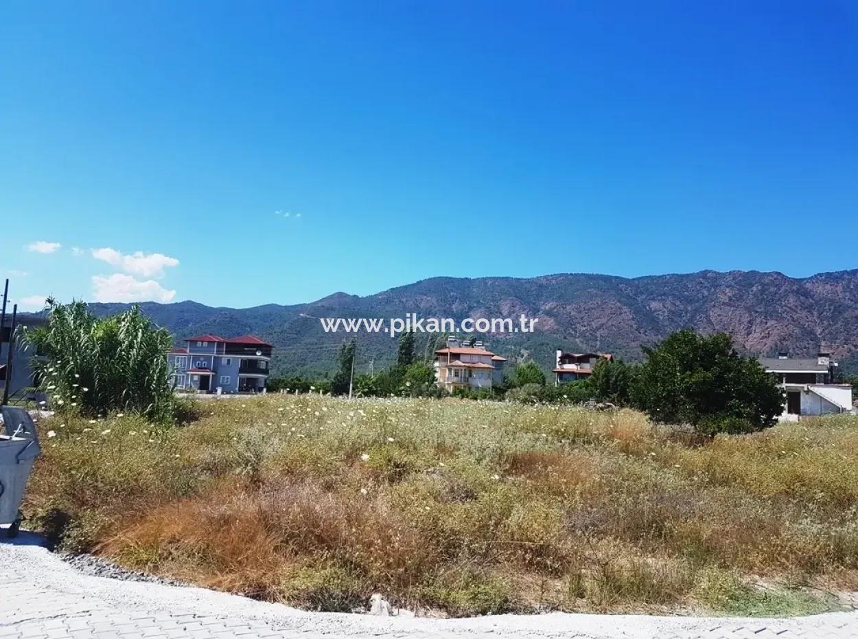 Toparlarda Satılık Mandalina Bahçesi