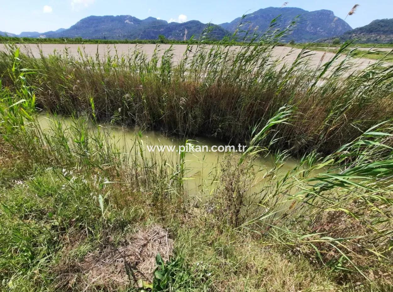 Muğla Ortaca Güzelyurtta Kiralık Verimli Arazi