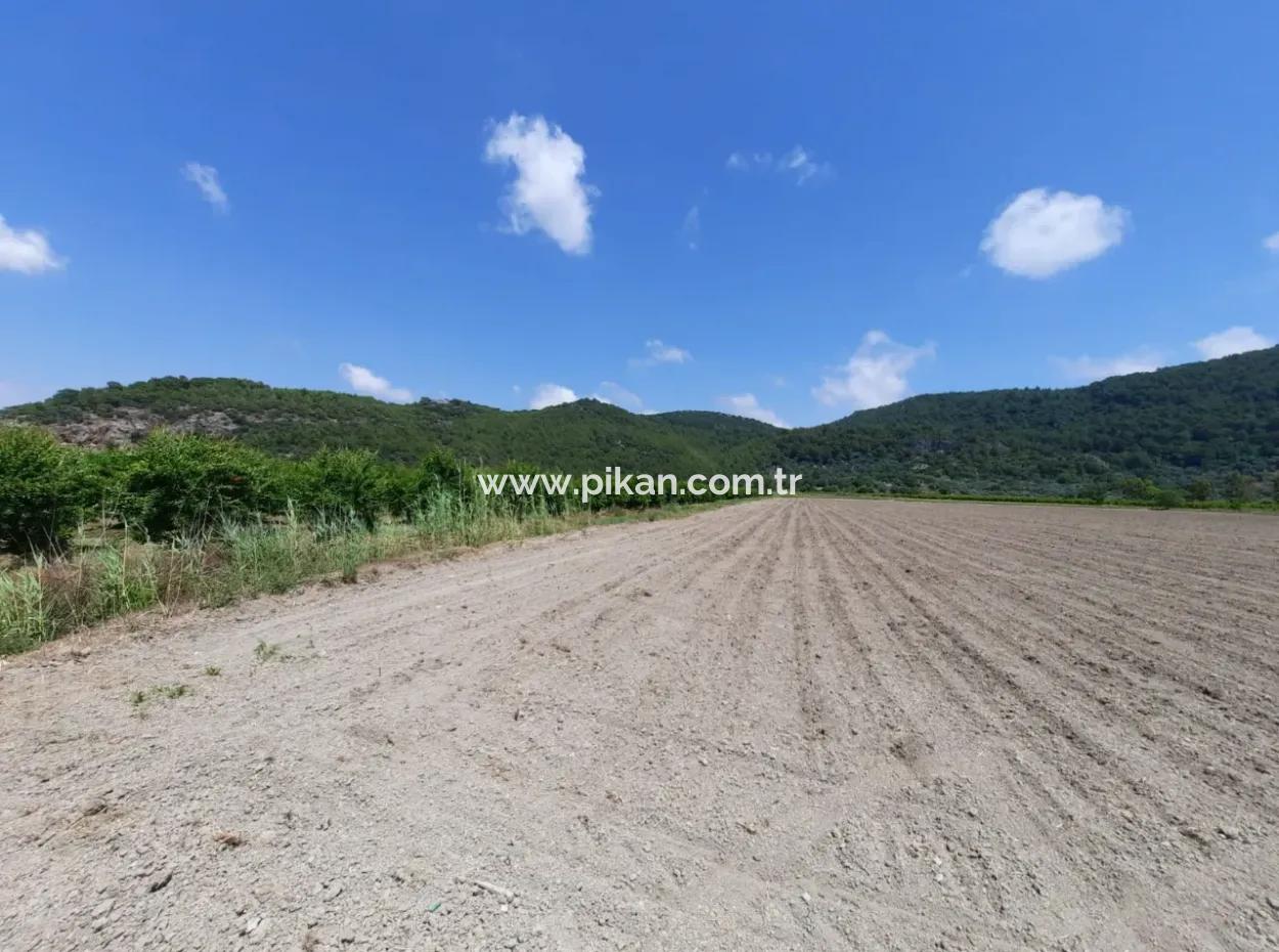 Muğla Ortaca Güzelyurtta Kiralık Verimli Arazi