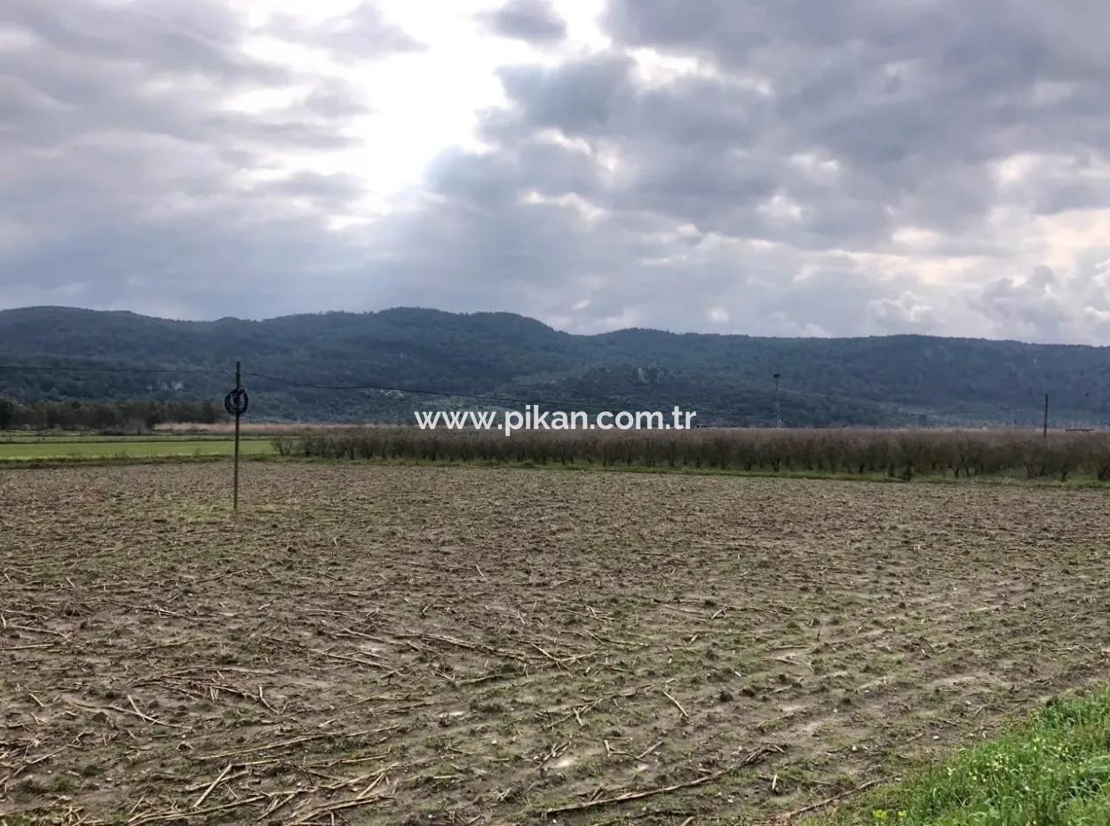 Ortaca Güzelyurtta Satılık Ana Yola Sıfır Tarla