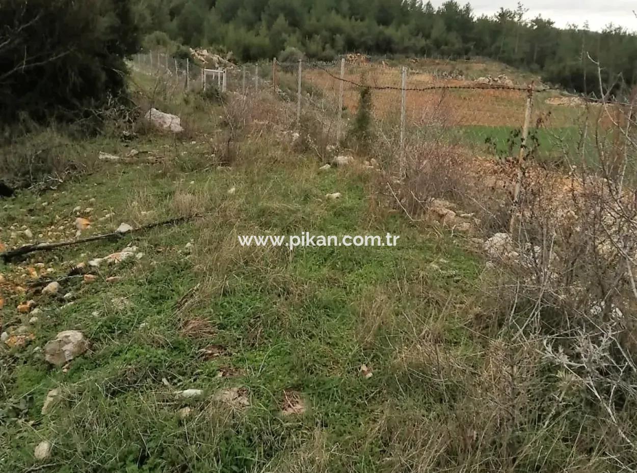 Muğla Dalaman Gürleyikte Satılık 30949 M2 Verimli Tarla