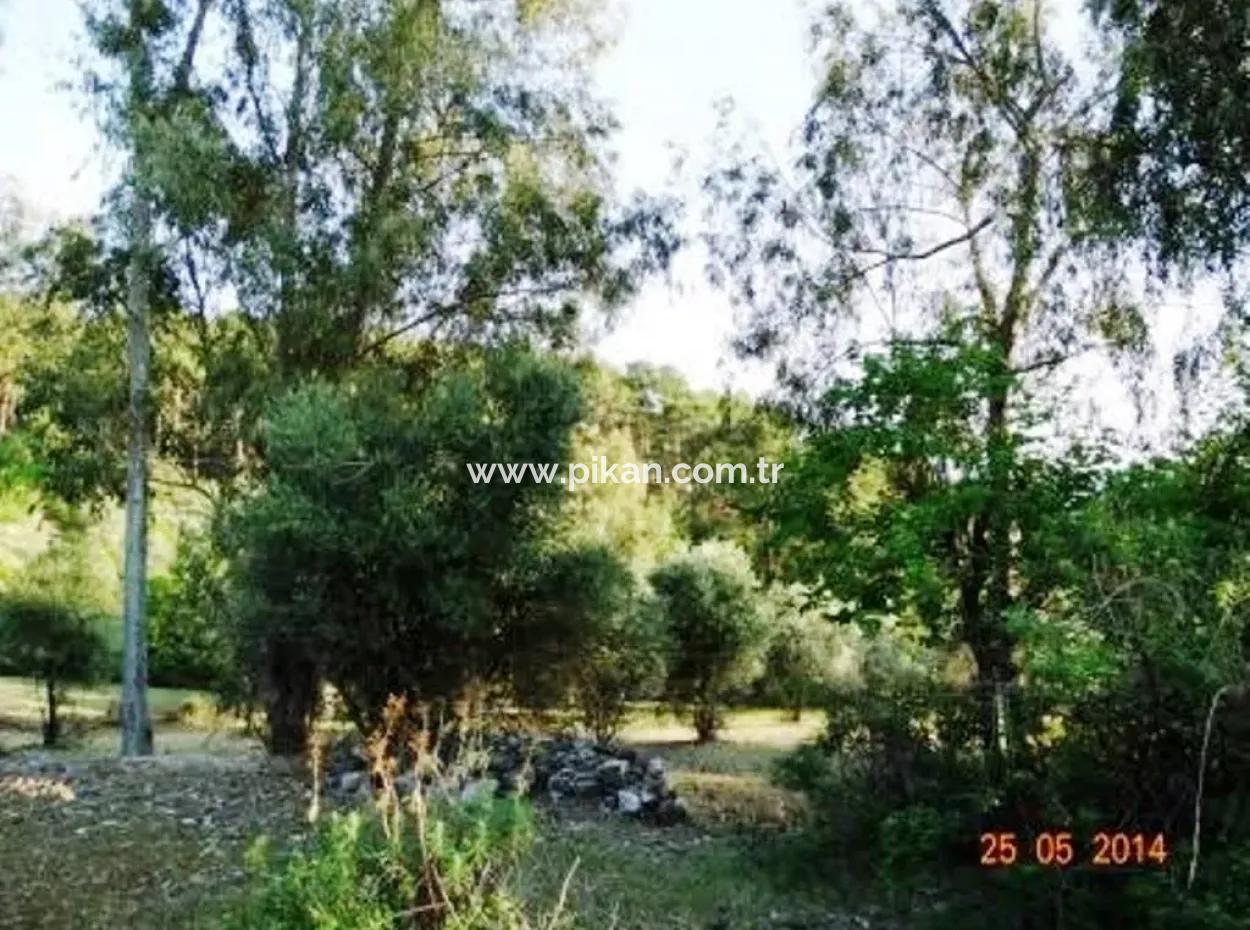 Muğla Fethiye Eldirekte 600 M2 Deniz Manzaralı Bahçe Satılık