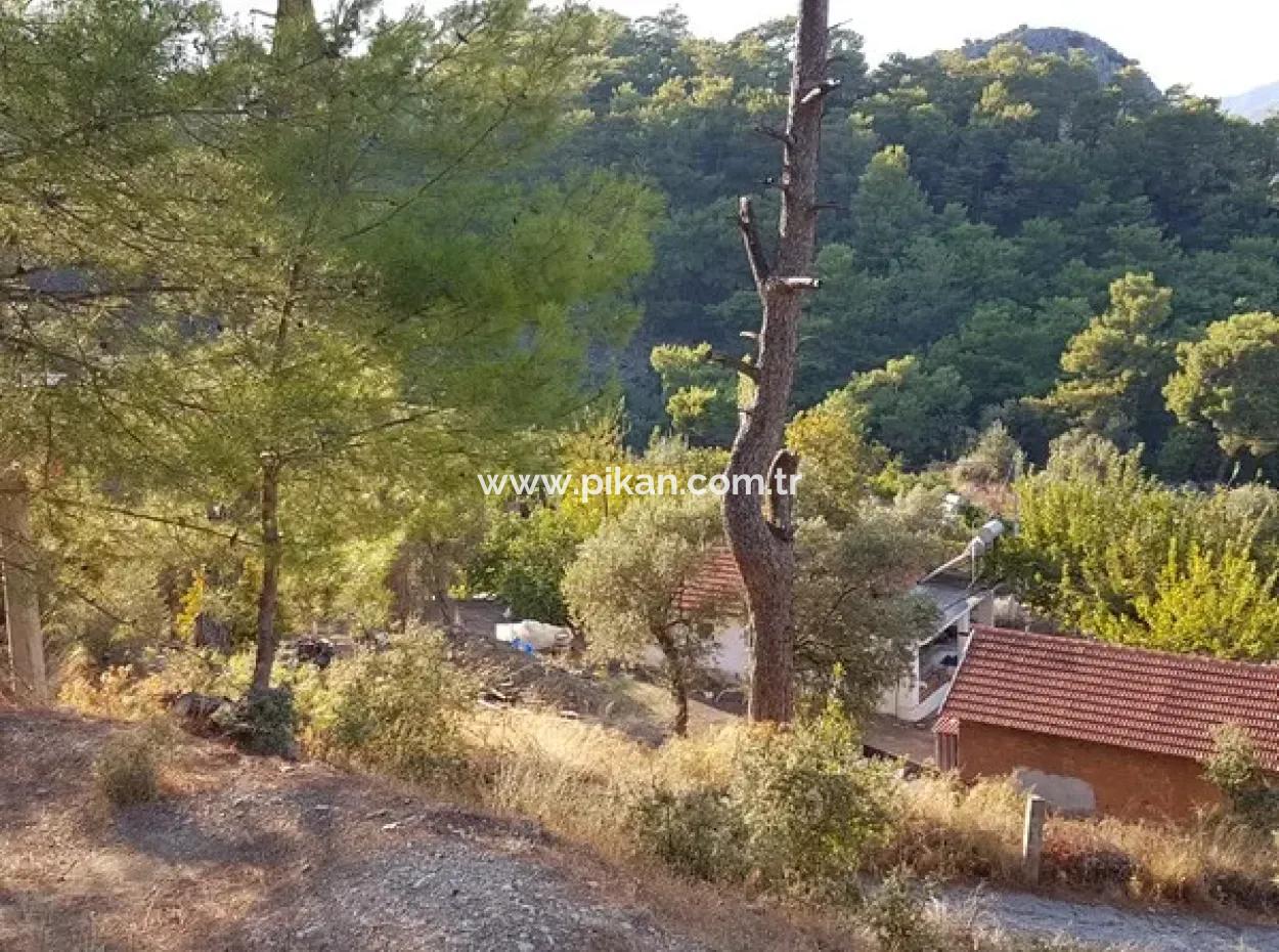 Ortaca Gökbel De  2 500 M2 Müstakil Kelepir Arazi Satılık