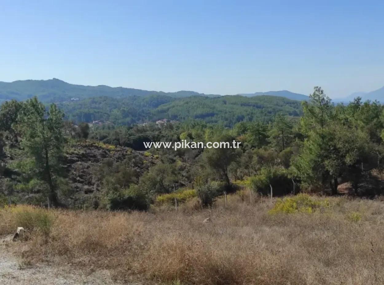 Ula Esentepede 4 200 M2 Deniz Manzaralı Arazi Satılık