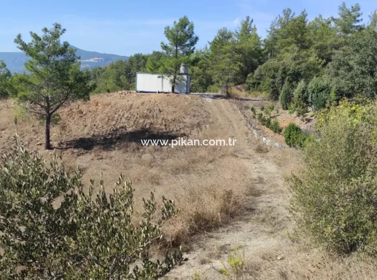 Ula Esentepede 4 200 M2 Deniz Manzaralı Arazi Satılık