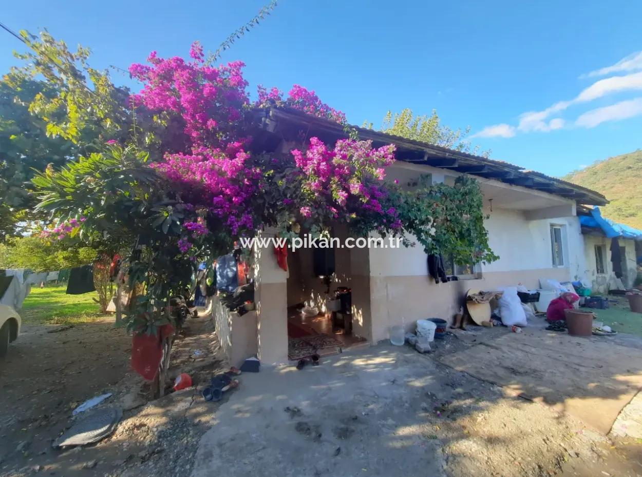 Ortaca Ekşiliyurt Da Yatırıma Uygun 11 850 M2  Limon Bahçesi Ve 4 Bina Satılık